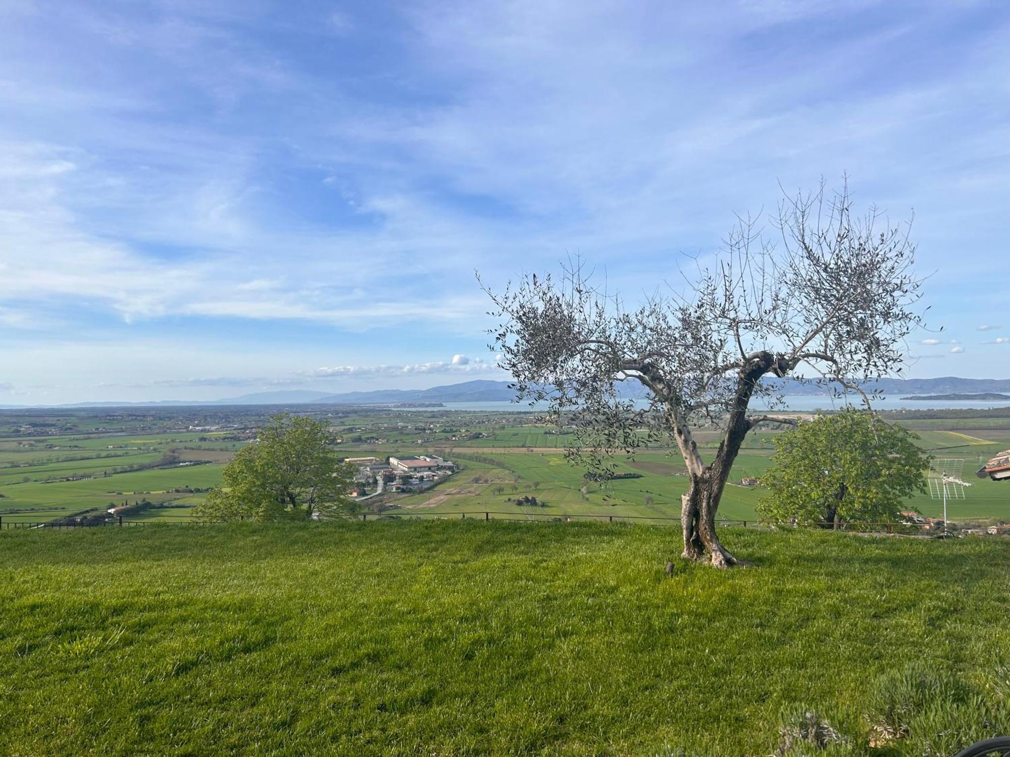 Boutique Hotel Masolino Panicale Exterior photo